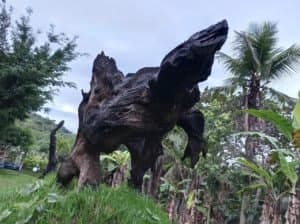 Biografia de Ed Ribeiro, O Pintor dos Orixás: A Jornada do Artista e Seus Primeiros Sucessos